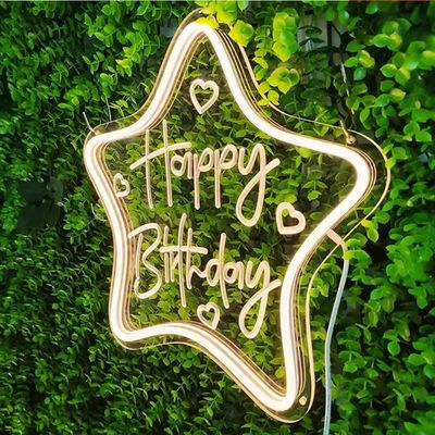 Voltage DC12V/AC110-220V LED Neon Signs for Wall Decor Marquee Letters Lighting 20 C