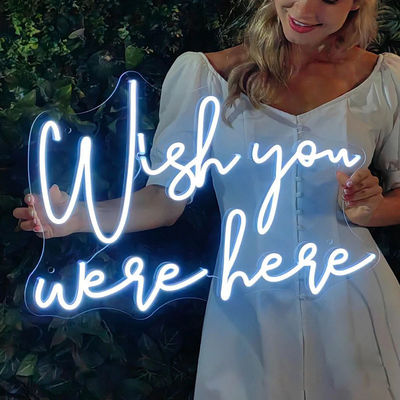 Acrylic neon Flex 12V RGB Waterproof LED Neon Sign Light for Holiday Party Decoration