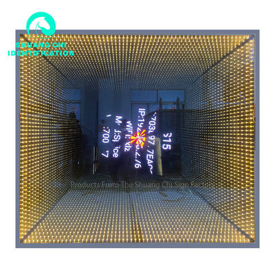 Melaleuca Abyss Mirror Infinity Mirror Neon Art 12 Interior Decoration 2023 Hot Products