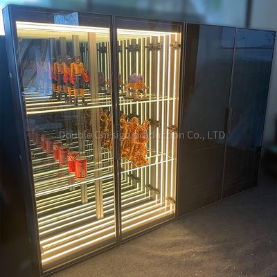 Professional Customized Thickness Display Case for Commercial Space DC12V/AC110-220V